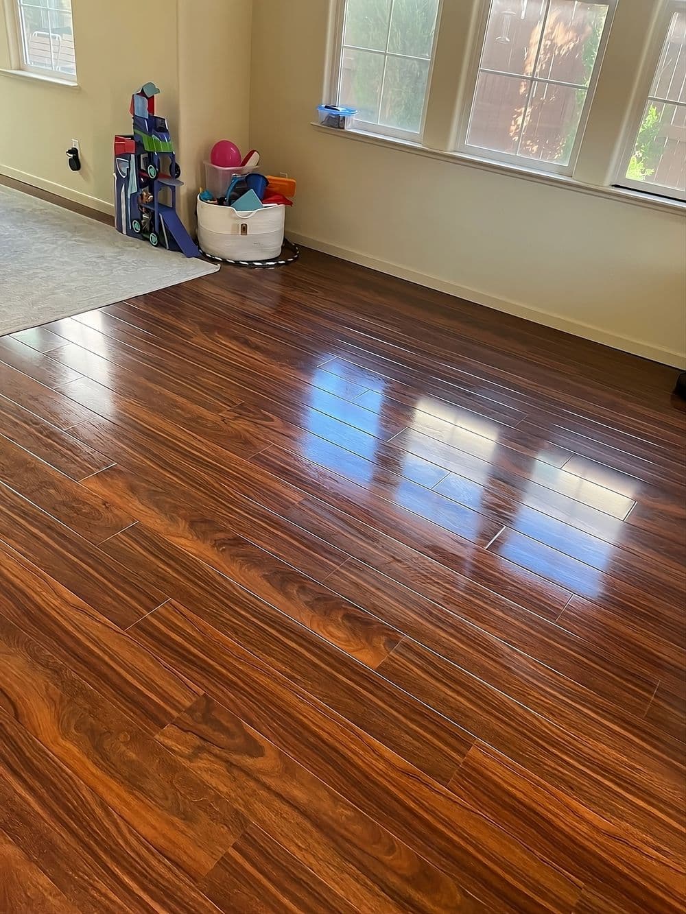 Gallery photos for Deep Clean: Image #3